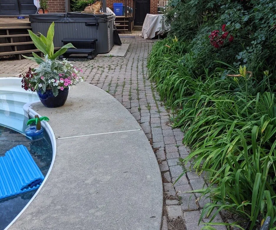 A backyard facing towards the side patio of a house