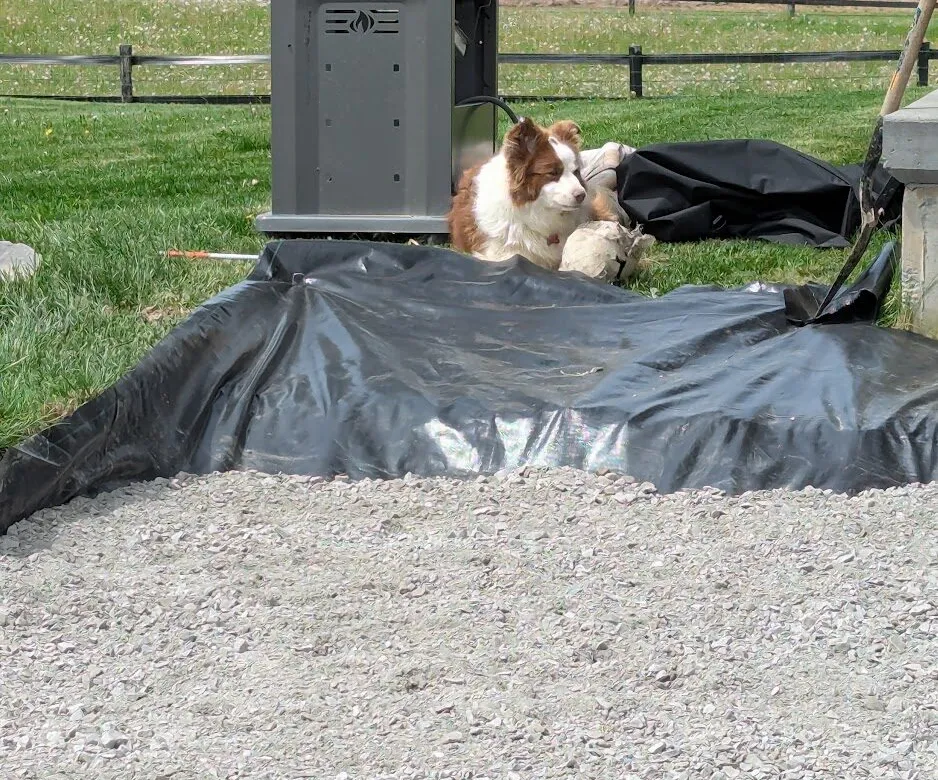A dog leaning against a BBQ overlooking a gravel base.